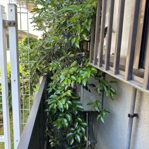 施工写真